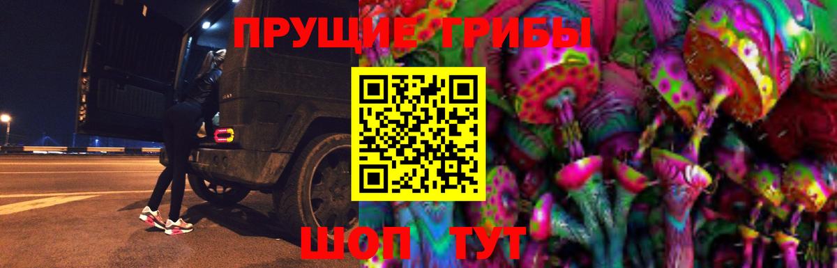 Ливны  купить наркоту  Вход с VPN  Псилоцибиновые грибы Psilocybine cubensis  Галлюциногенные грибы Psilocybe 